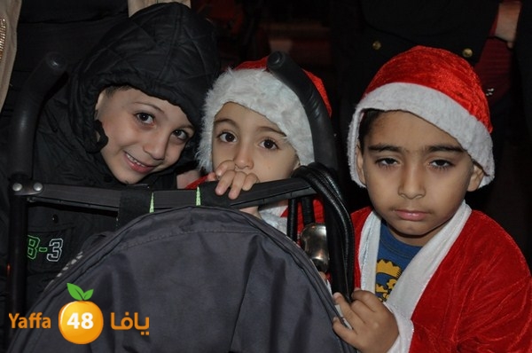 tree light 1208 (68).JPG